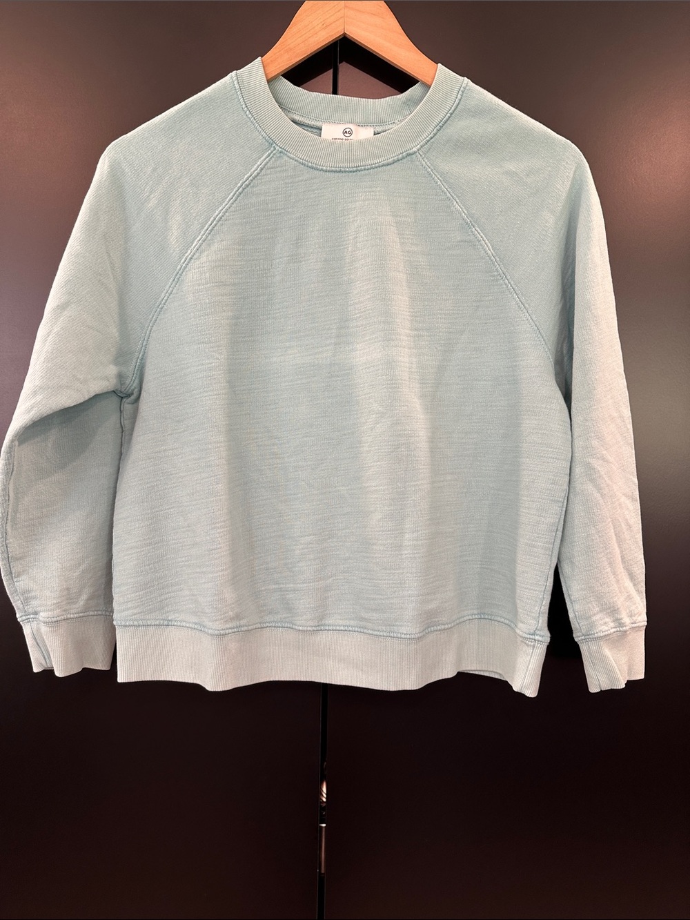 NEW AG Adriano Goldschmied Mint Crewneck Sweatshirt